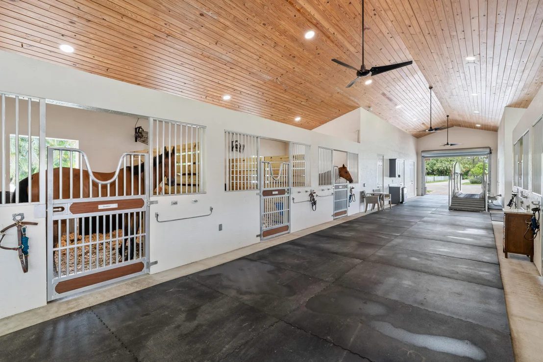 Photo of 1464 Stallion Drive