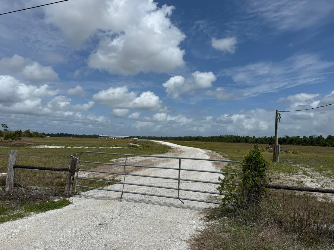 Photo of 33700 Hwy 441