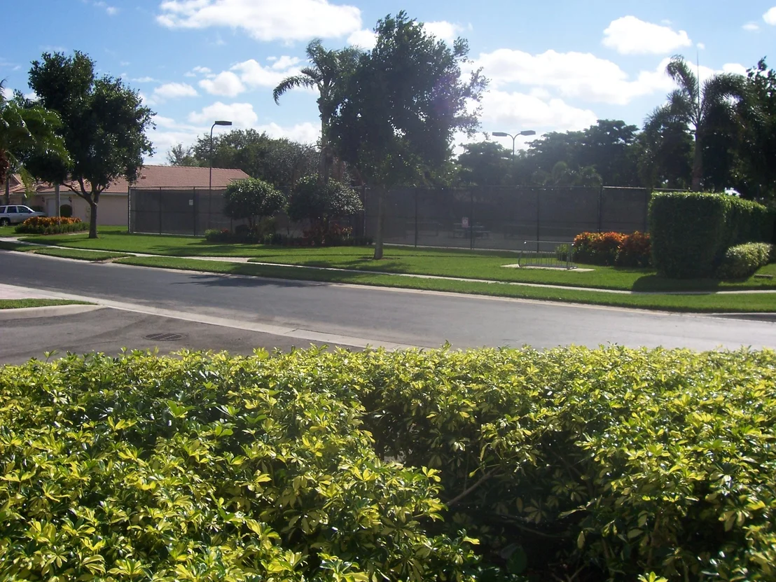 Photo of 12101 Cortina Drive