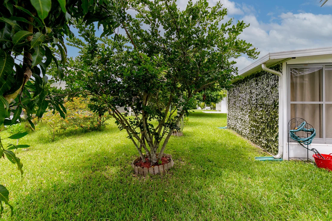 Photo of 6679 Tulipan