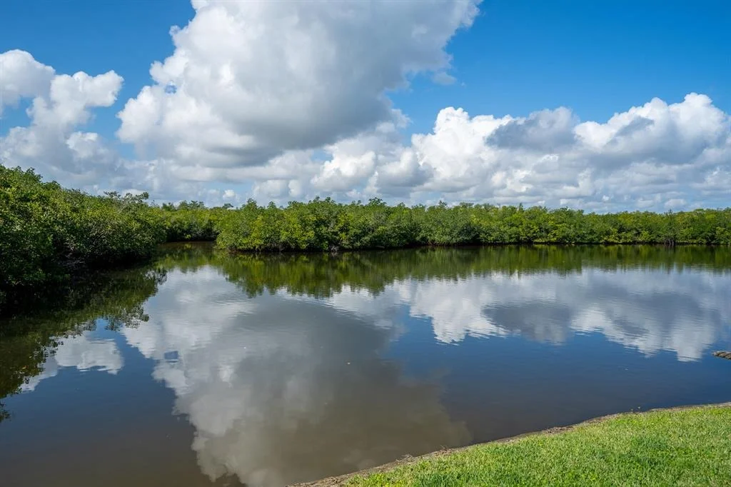 Photo of 547 White Pelican Circle