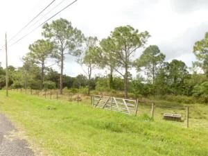 Photo of 17770 112th Drive N