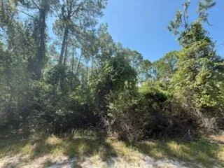 Photo of 337 Palm Way