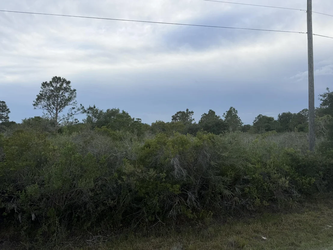 Photo of 15840 NW 298th Street