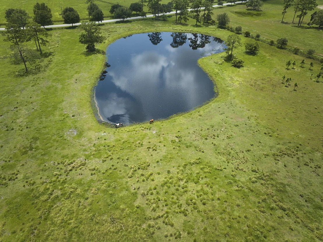 Photo of 25700 SW Brians Trail