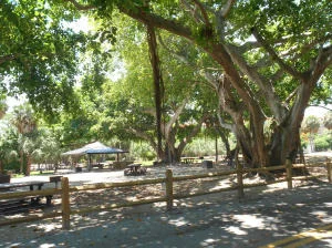 Photo of Unit D310 at 2871 N Ocean Boulevard