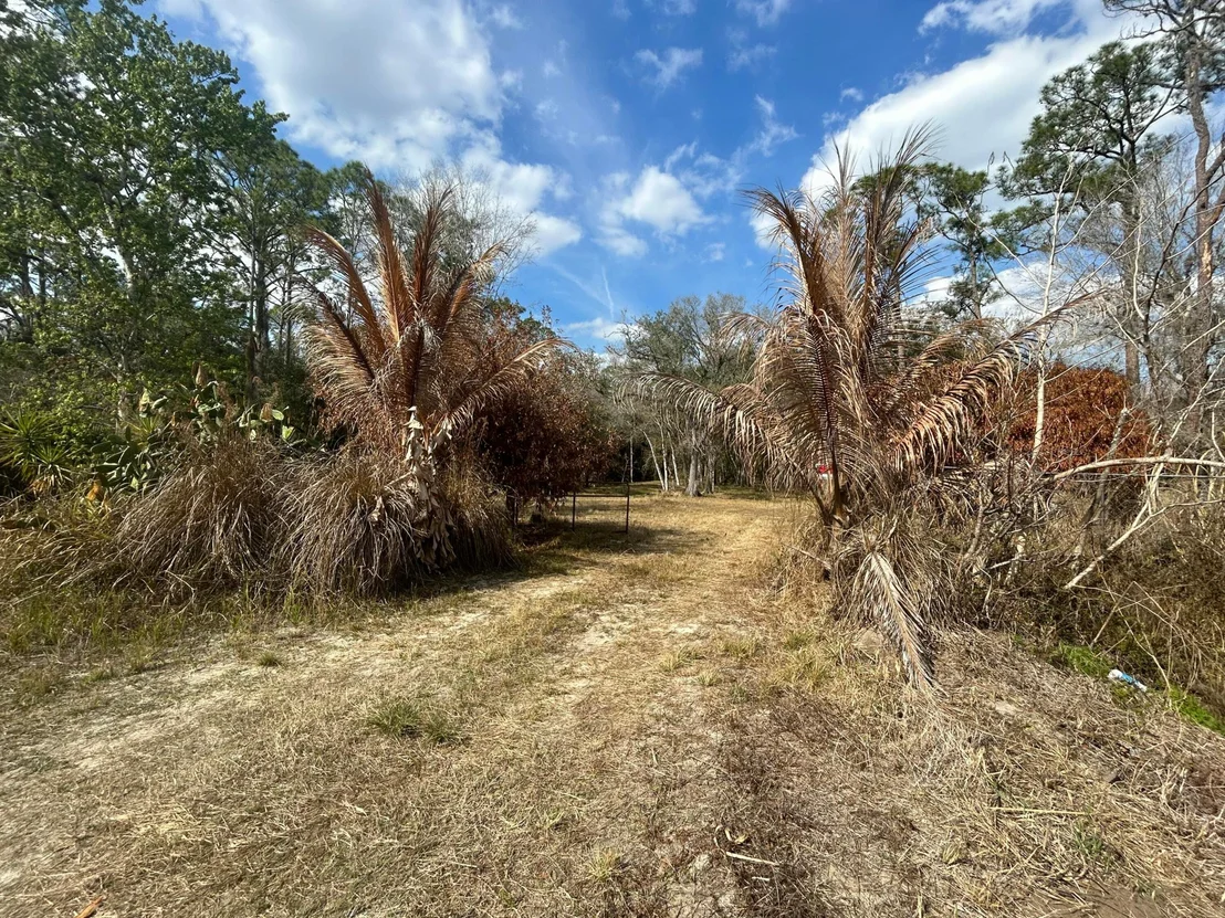 Photo of 855 NW 368th Drive