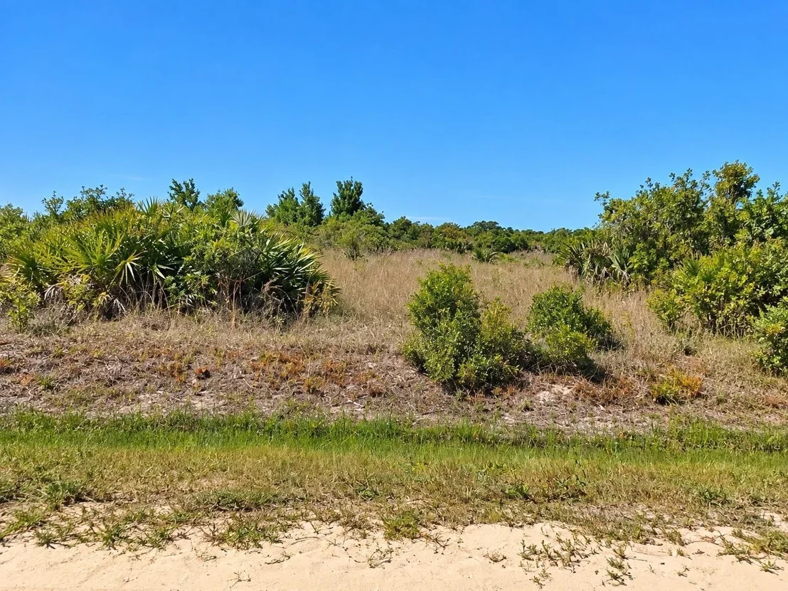 Photo of 14516 NW 280TH Street