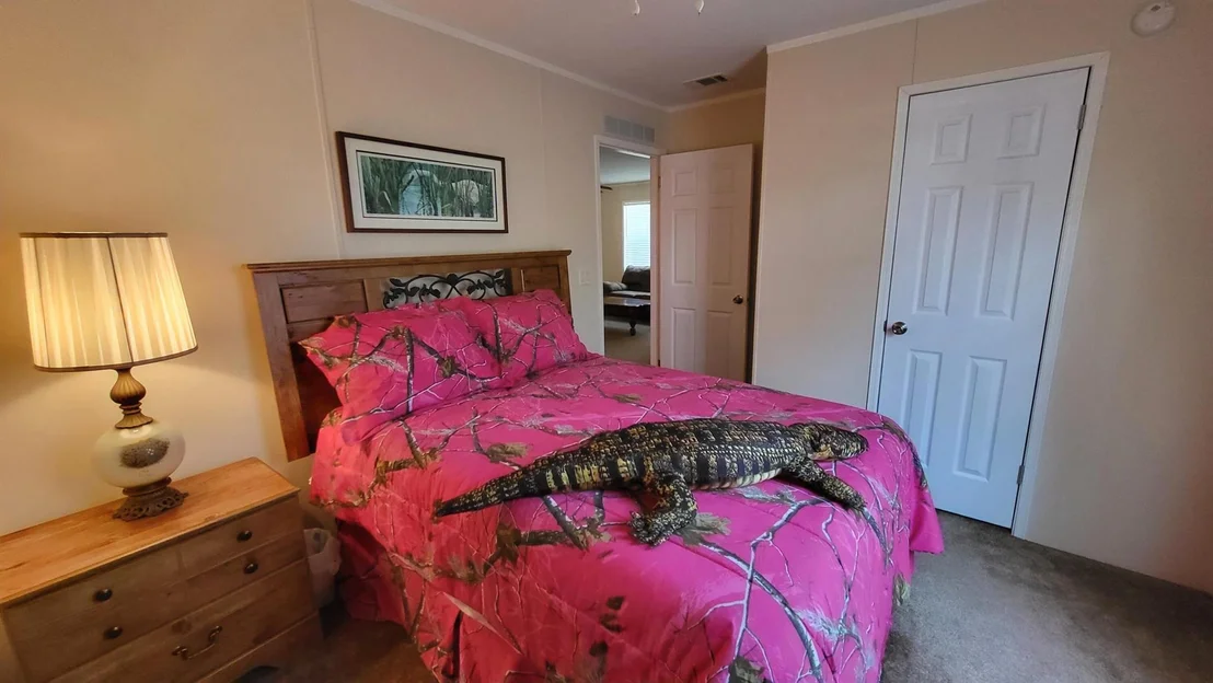 Photo of 1084 Arvin Lane