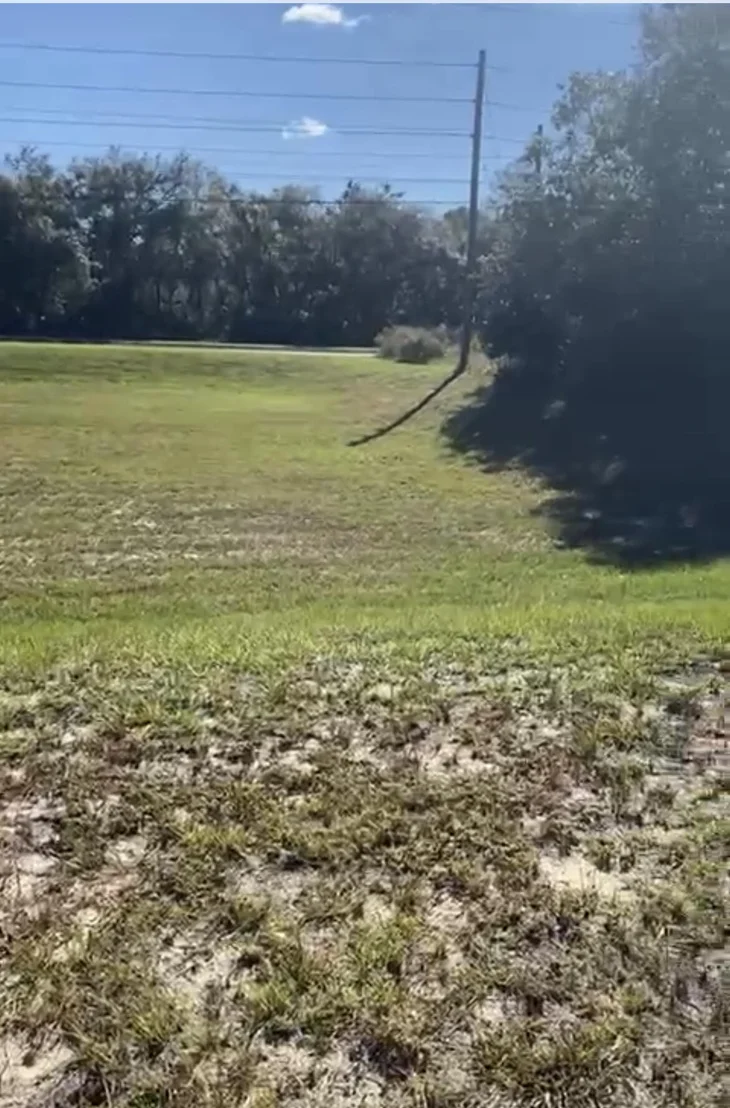Photo of 4017 SW 133rd Loop