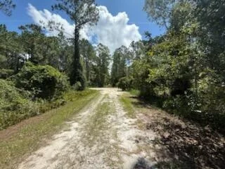 Photo of 337 Palm Way