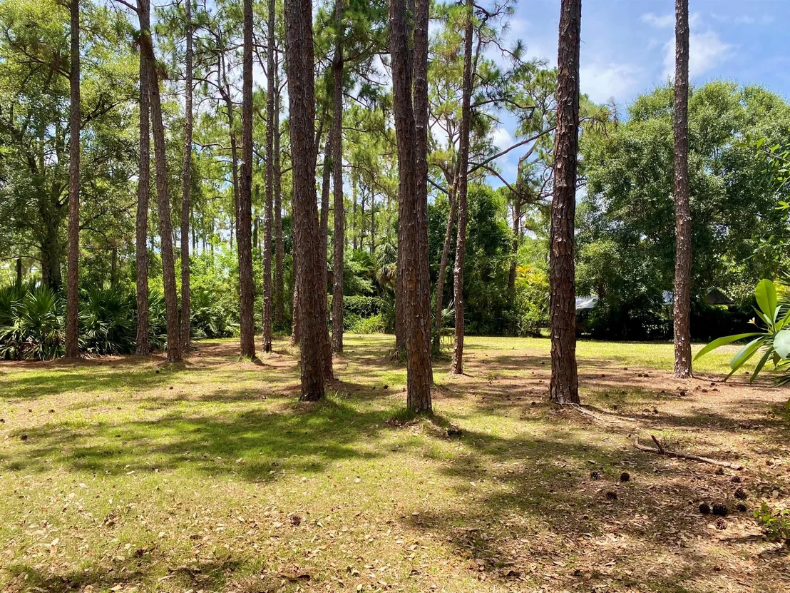 Photo of 16844 127 Drive N