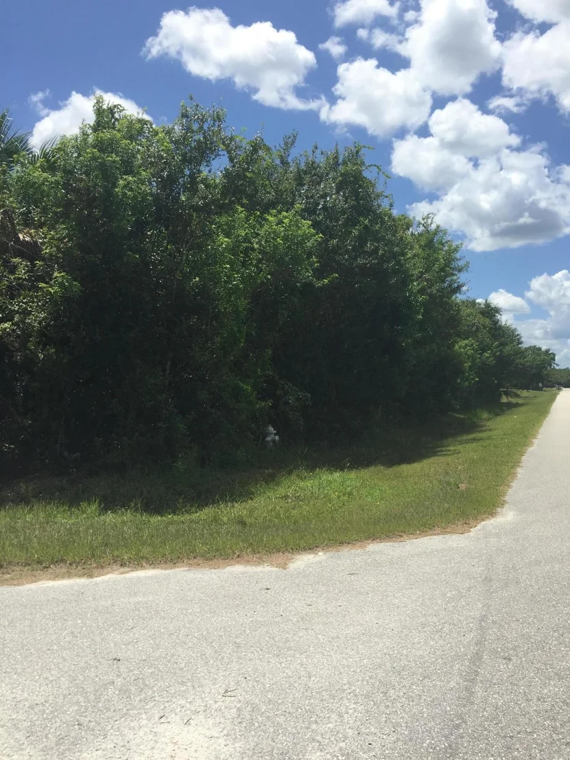 Photo of 00 76 Trail N
