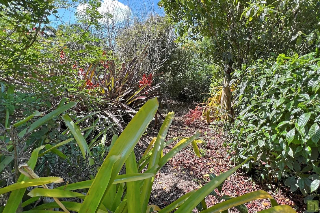 Photo of 4500 Cedar Hill Road
