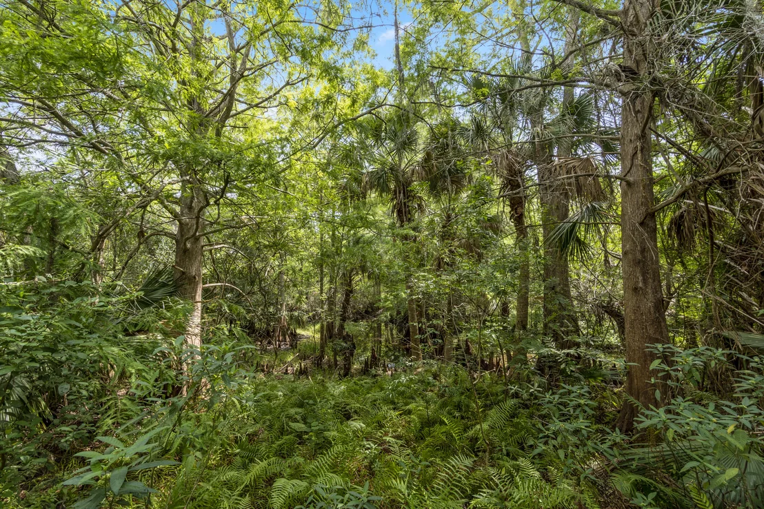Photo of 216 Barbossa Drive