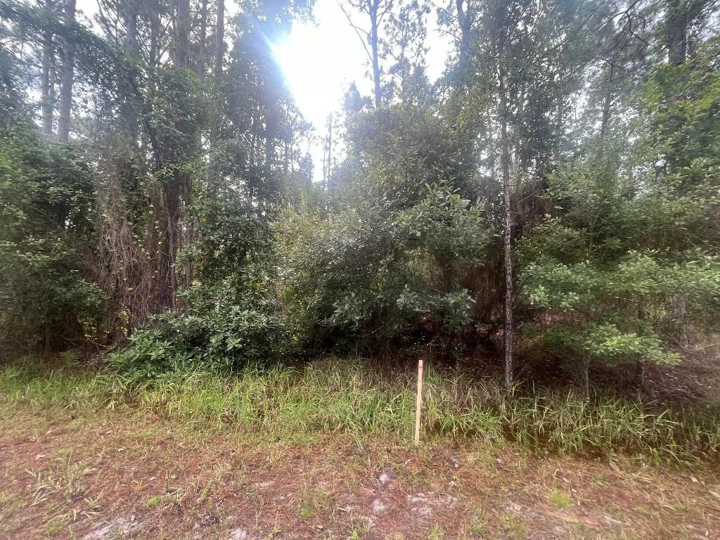 Photo of 223 SE 2nd Street