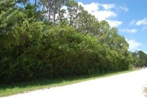 Photo of 18310 93rd Road N