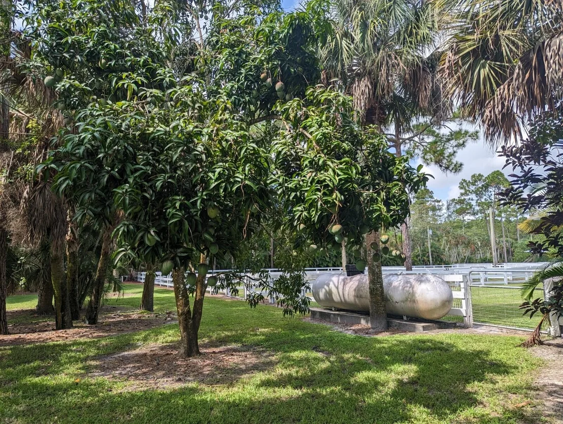 Photo of 2315 Deer Run Boulevard