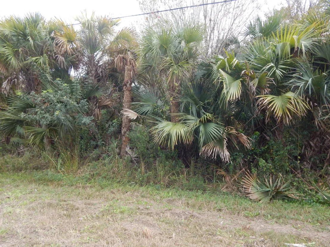 Photo of 581 Avenida Del Sur