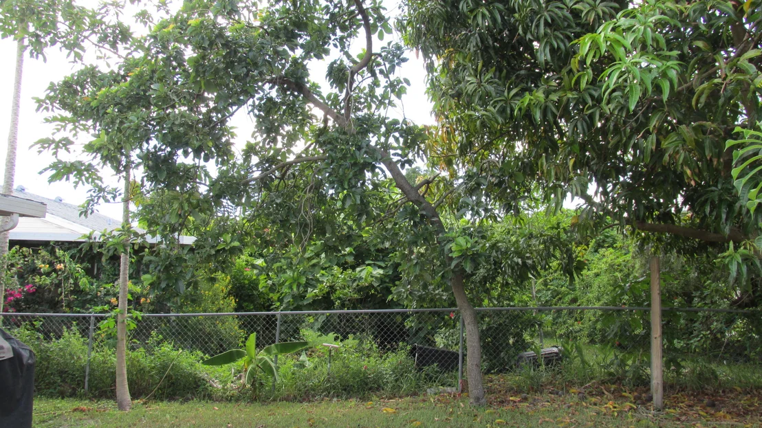 Photo of 9148 Carma