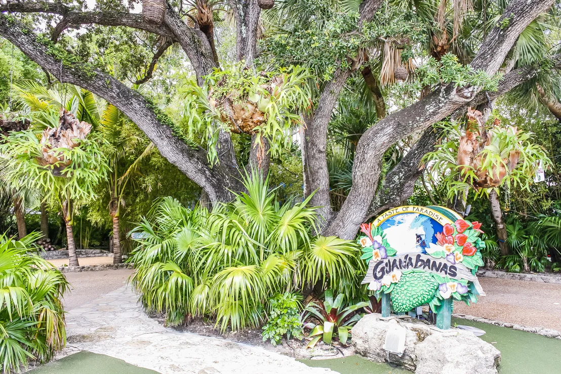 Photo of 713 Warren Drive