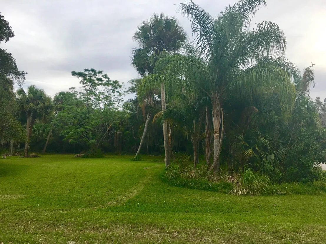 Photo of 4902 Sunrise Boulevard