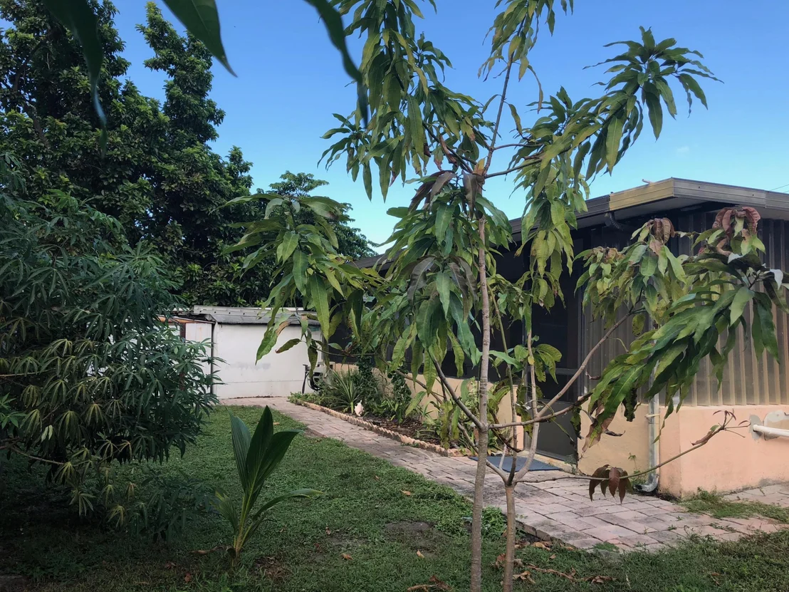 Photo of 39 Davis Road