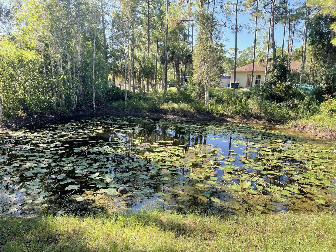 Photo of 16360 78th Rd N