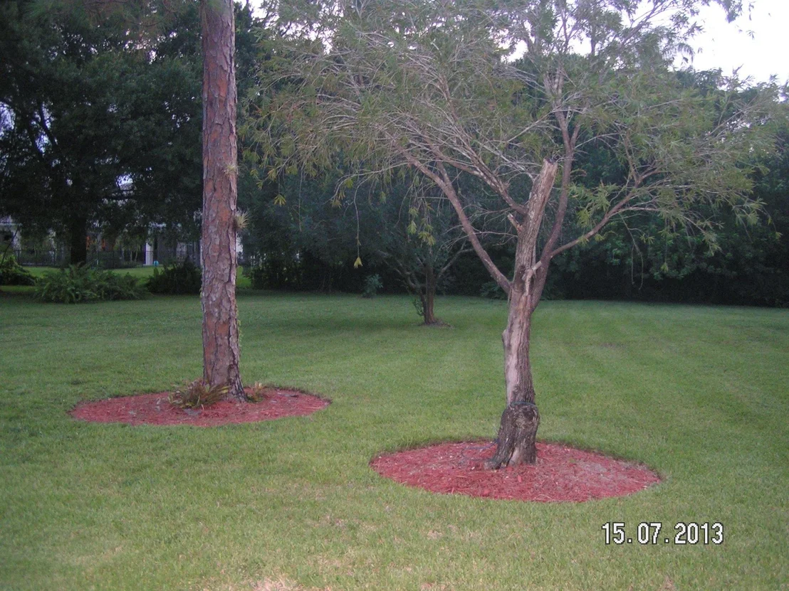 Photo of 14744 Horseshoe Trace