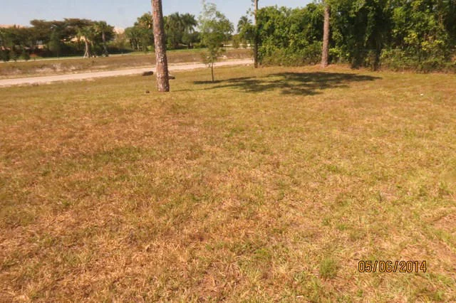 Photo of 9070 Arrowhead Drive
