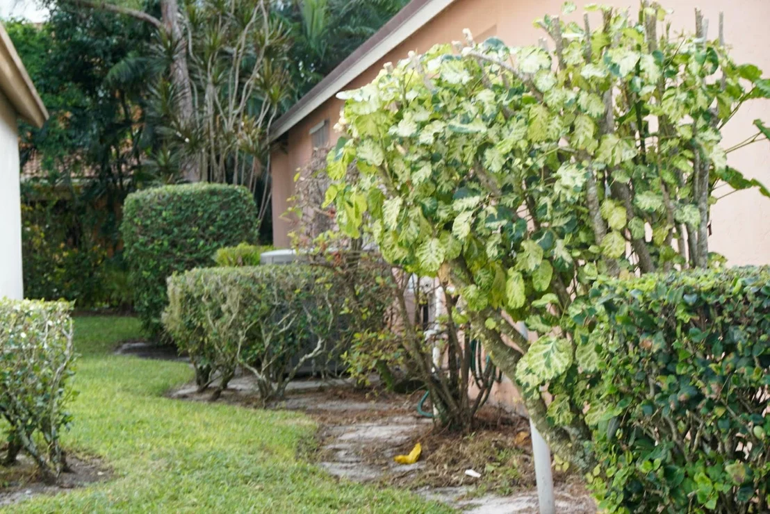Photo of 312 Hammocks Trail