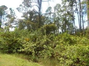 Photo of 575 Avenida Del Sur