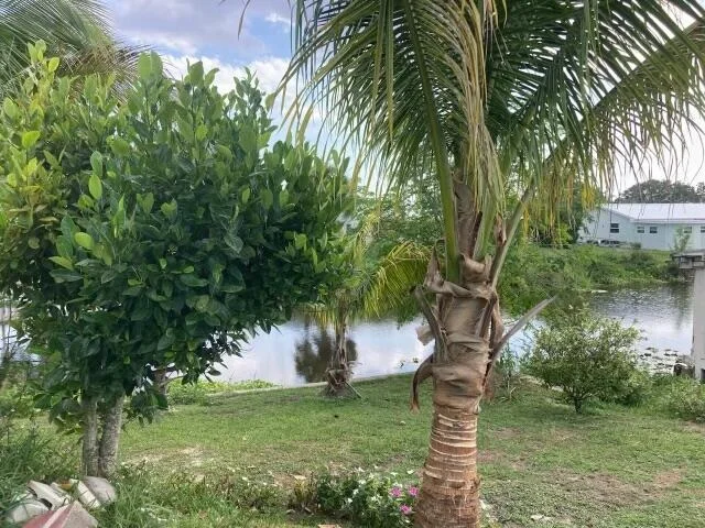 Photo of 3112 SE 24th St Street