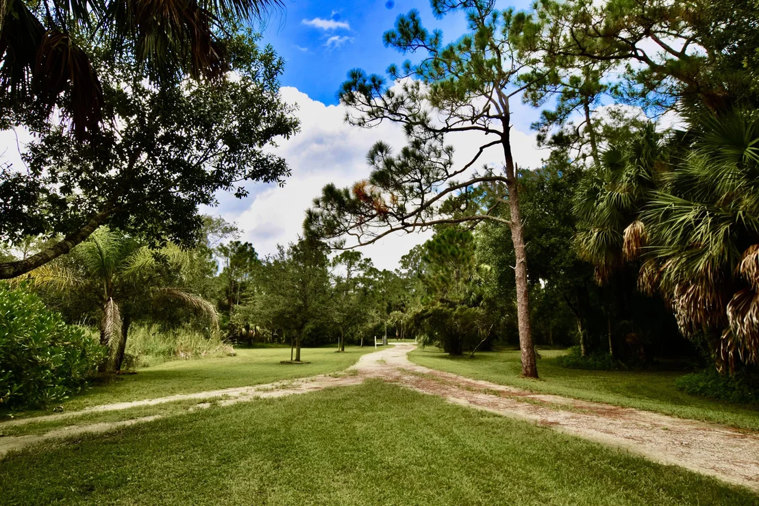 Photo of 9726 167th Place N