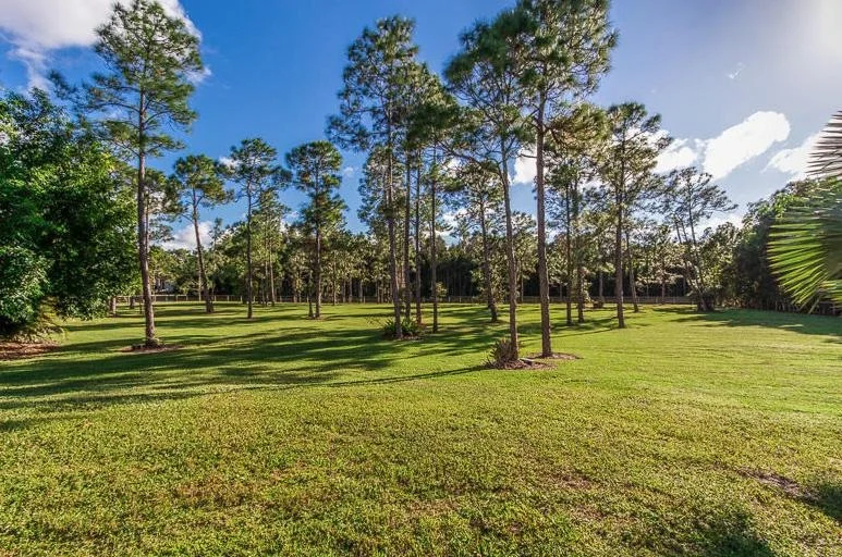 Photo of 11516 Hawk Hollow