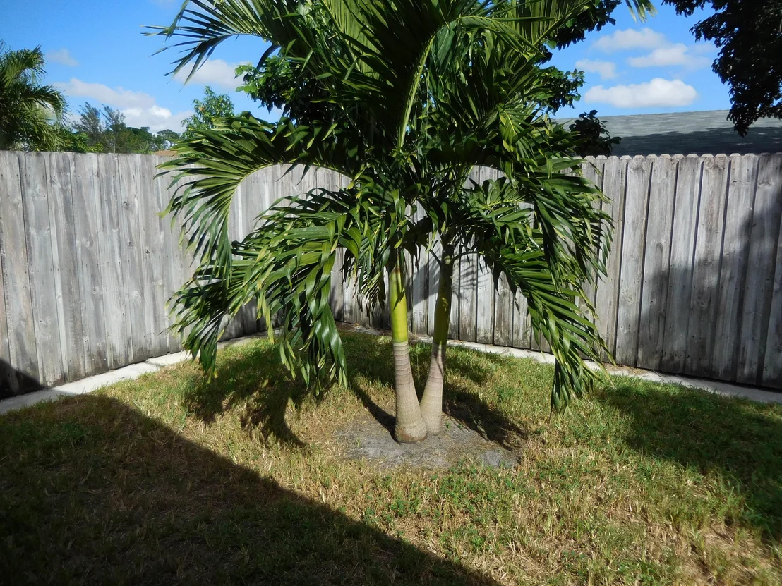 Photo of 362 Foresta Terrace