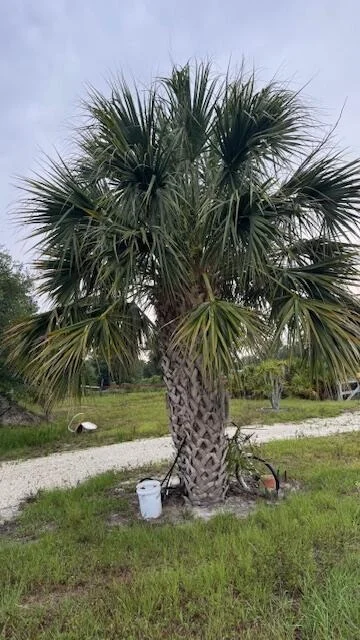 Photo of 15270 NW 252nd Street