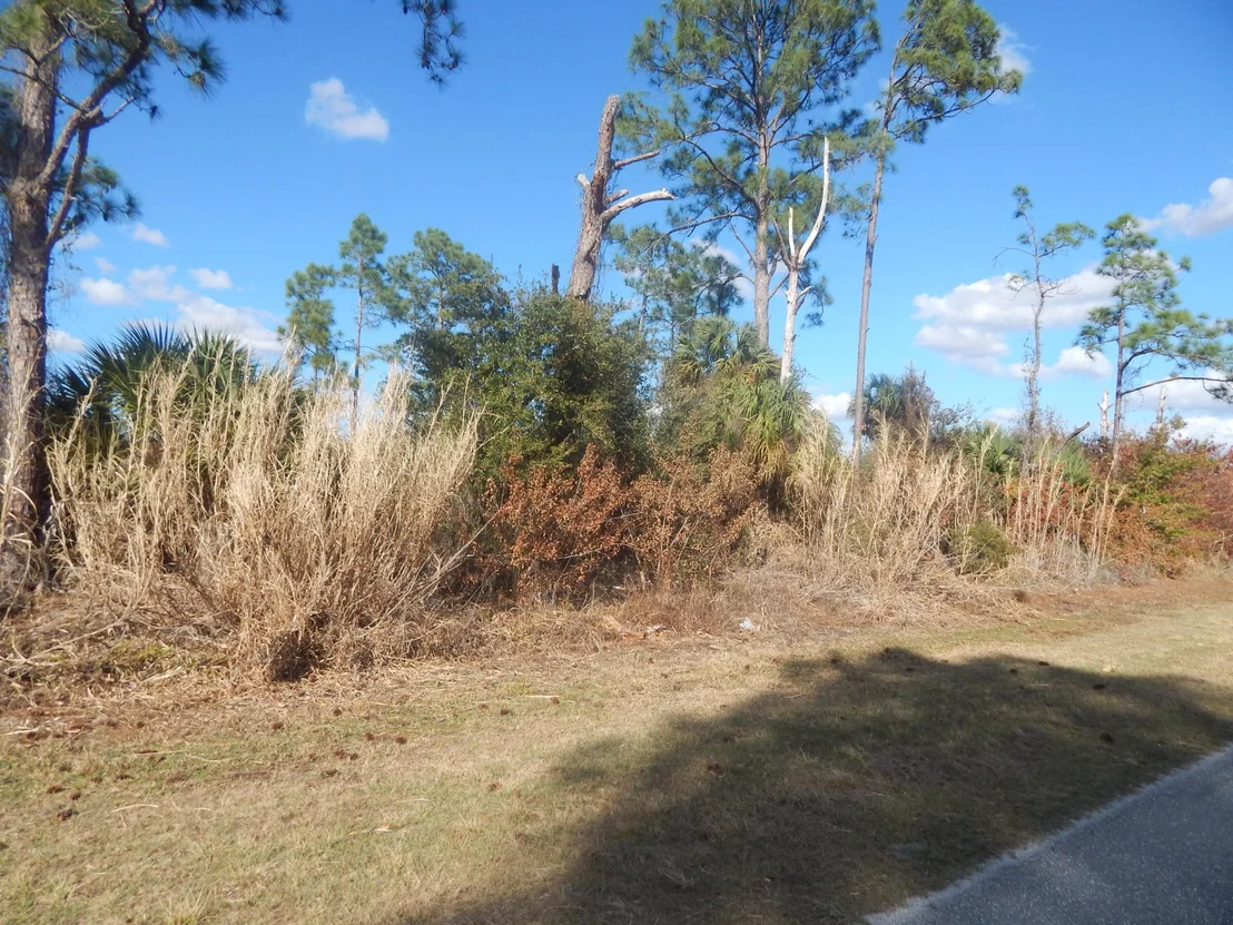 Photo of 575 Avenida Del Sur
