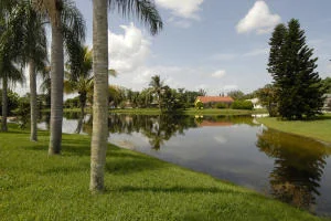 Photo of 21347 Chinaberry Drive