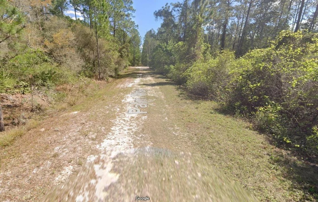 Photo of 337 Palm Way
