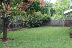 Photo of 121 Duke Drive