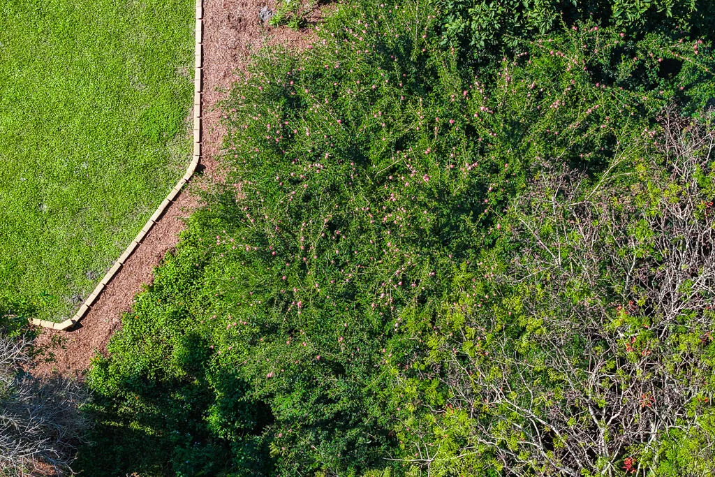 Photo of 4535 Hunting Trail