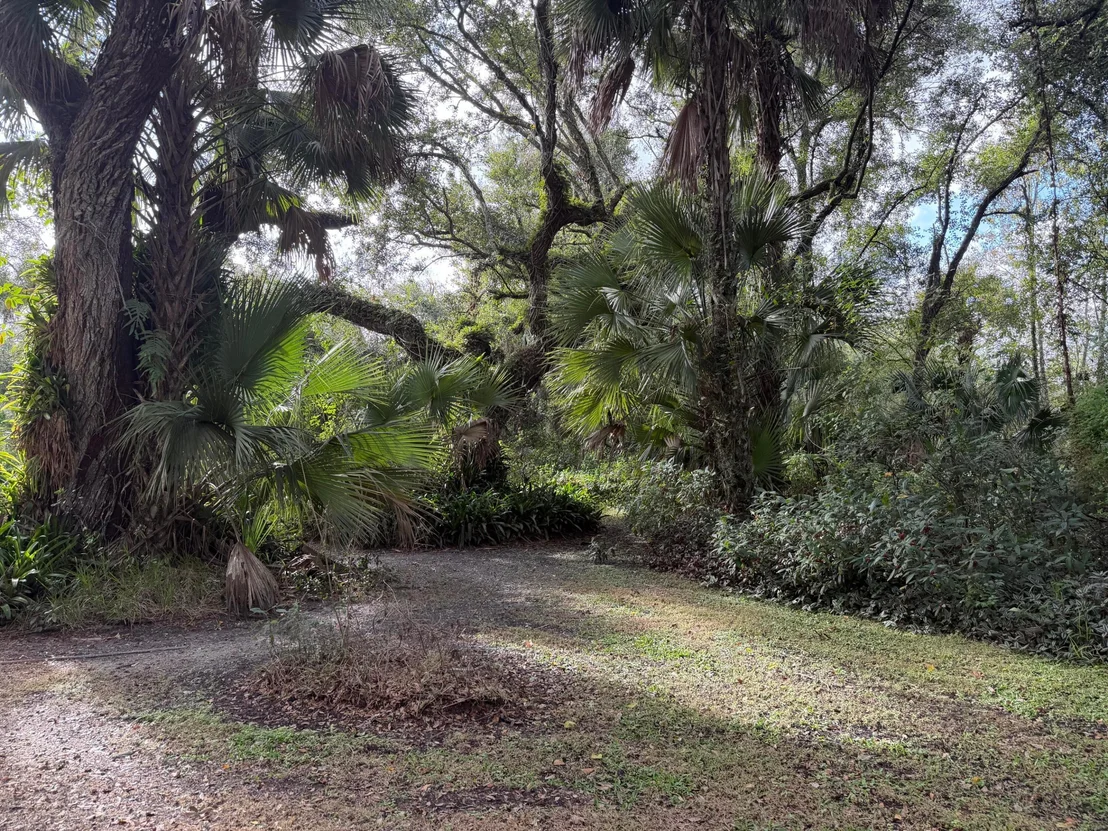 Photo of 535 SE 80th Avenue