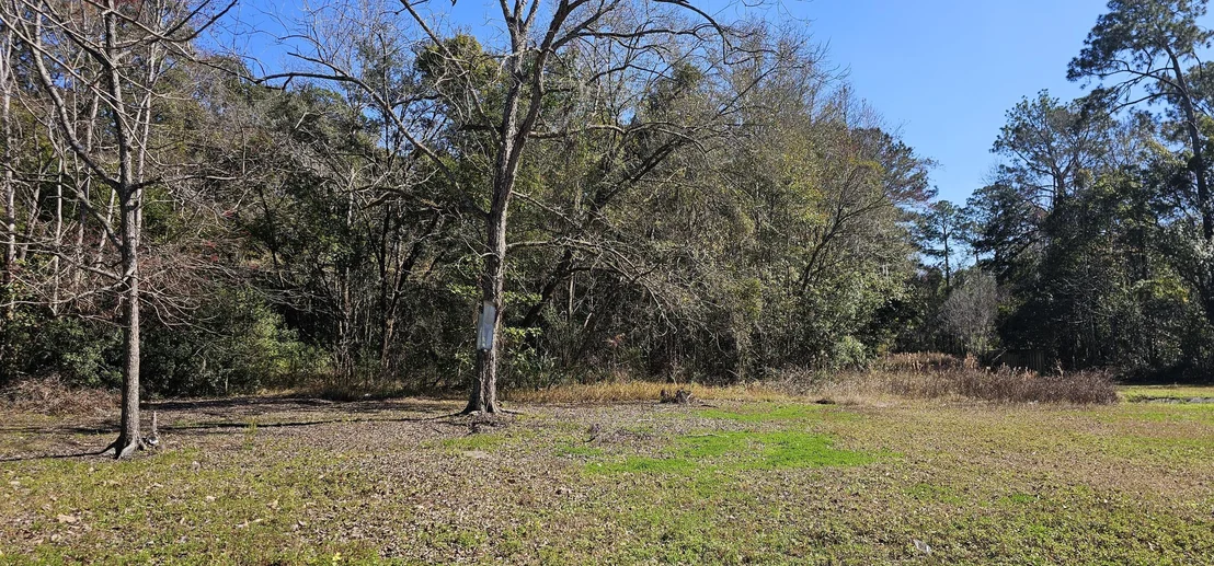 Photo of 5676 Soutel Drive