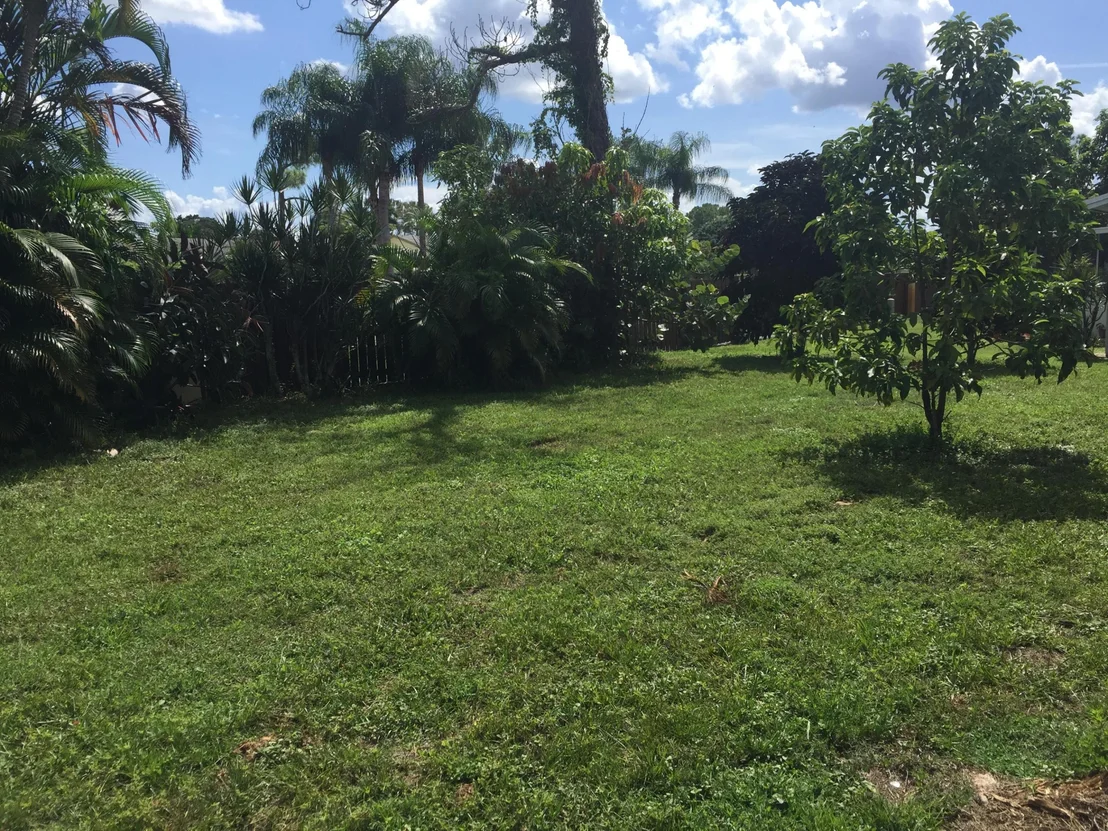 Photo of 7345 Pine Forest Circle