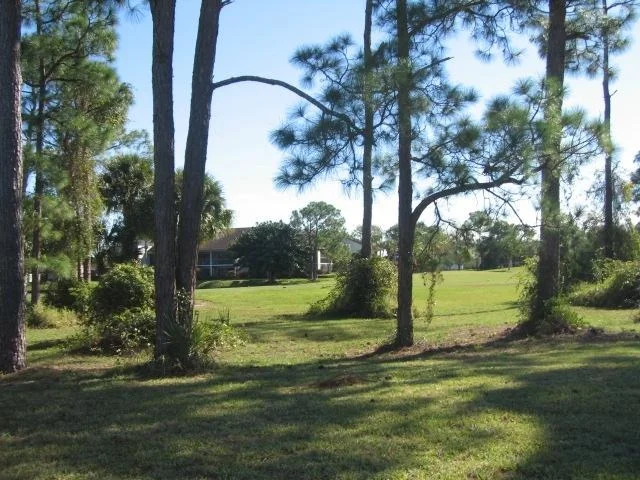 Photo of 3012 Bent Pine Drive