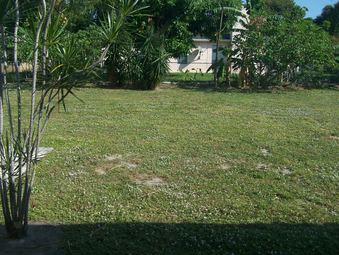 Photo of 4014 Waverly Drive