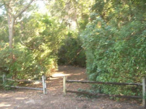 Photo of Unit D310 at 2871 N Ocean Boulevard