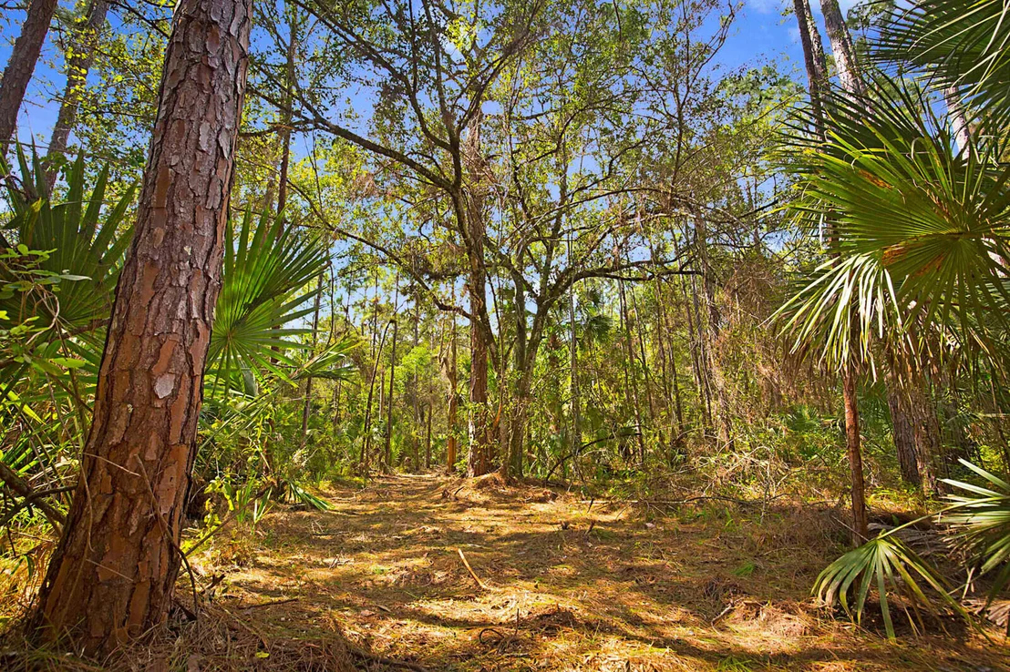 Photo of 3139 B Road