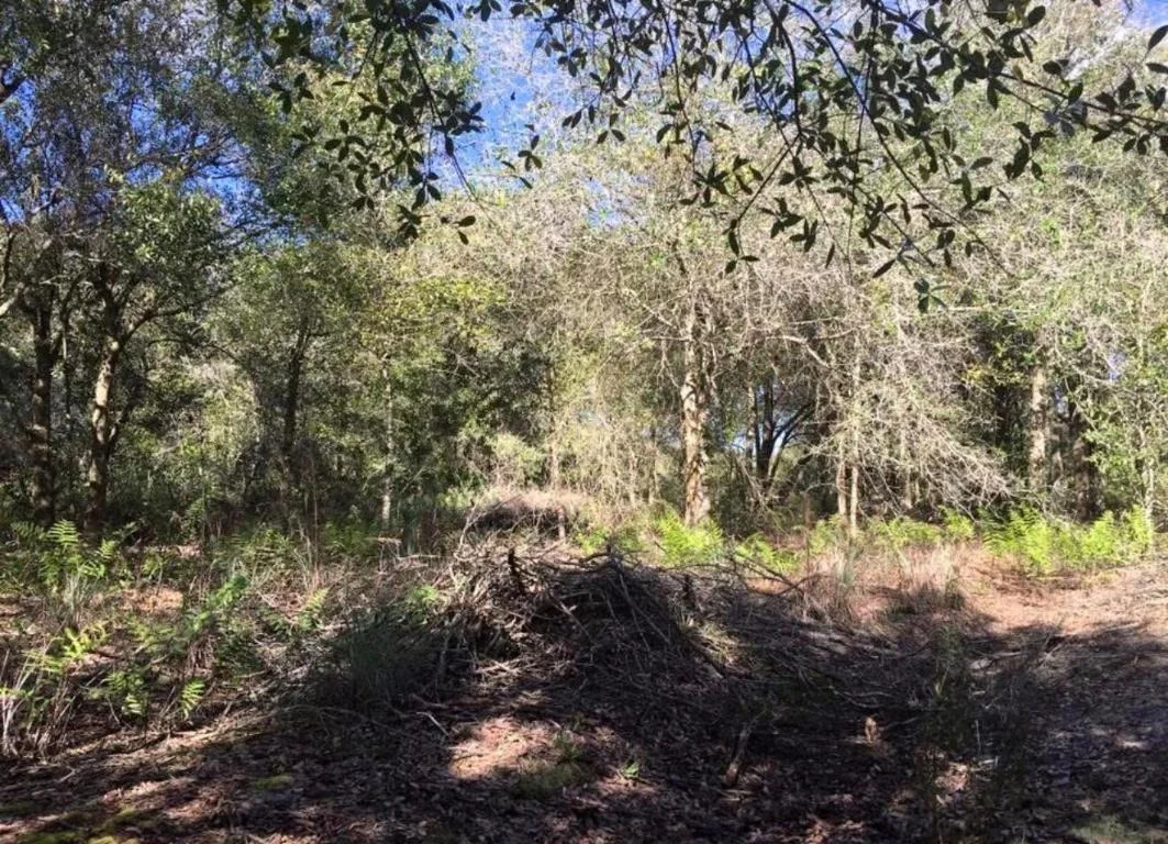Photo of 17444 NW 286th Street